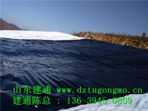 專業高效，品質信賴 探訪江西復合土工布工廠直銷與山東建通建材加工服務